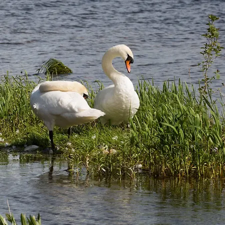 Hotel Crover House & Golf Club